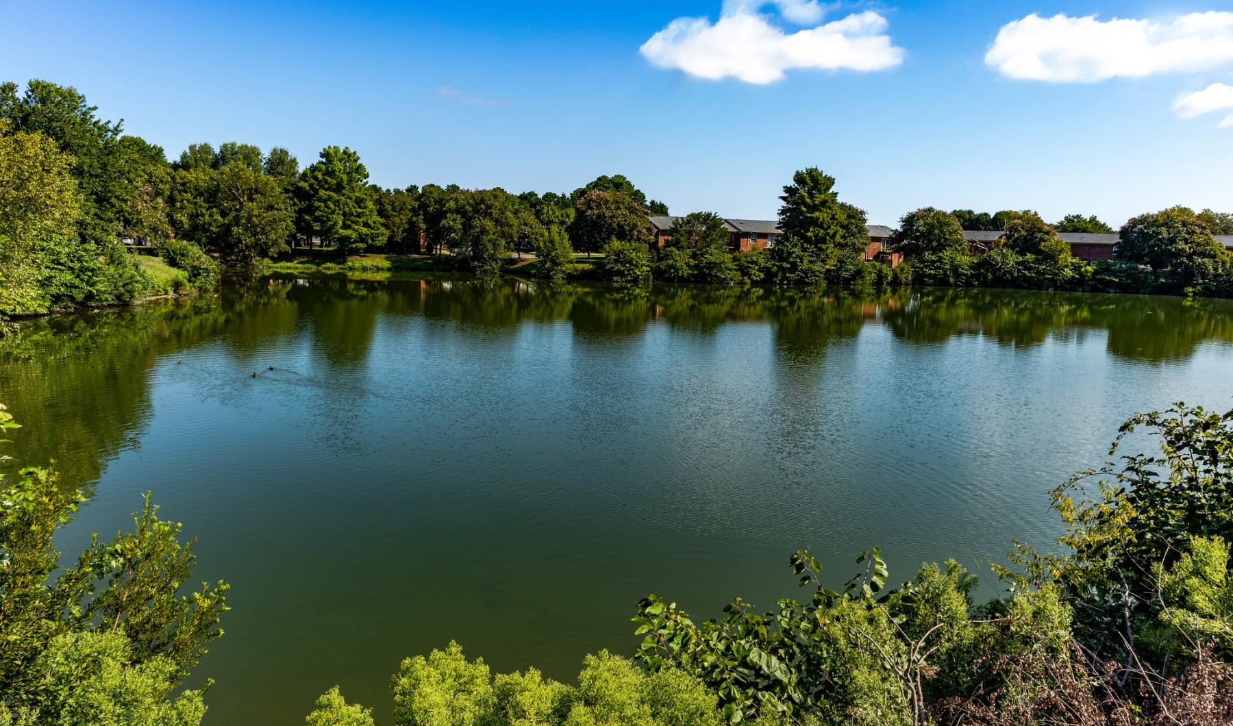 a body of water surrounded by trees